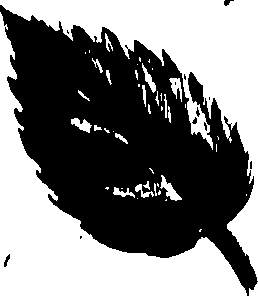 099/099320011700970_0.png