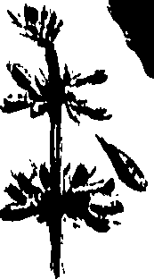 099/099320011700970_1.png