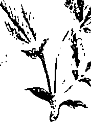 099/099320011701000_0.png