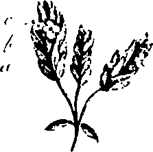 099/099320011701010_0.png