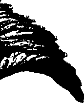 099/099320011701040_1.png