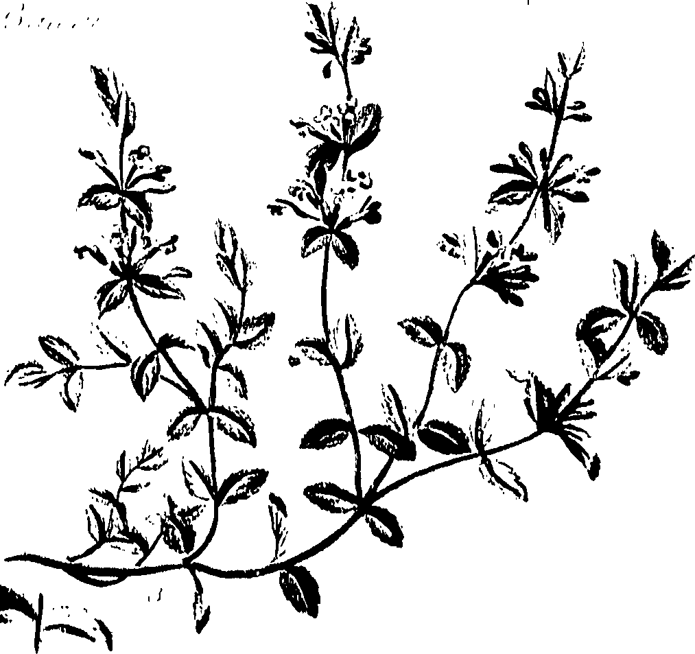 099/099320011701060_0.png