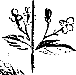 099/099320011701060_1.png