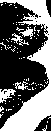 099/099320011701070_0.png