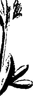 099/099320011701070_1.png