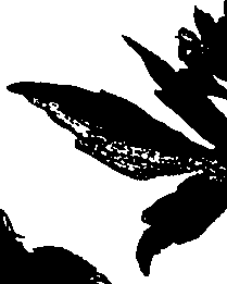 099/099320011701090_0.png