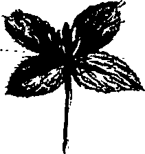 099/099320011701100_0.png