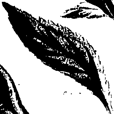 099/099320011701110_0.png