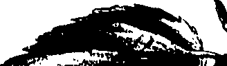 099/099320011701160_0.png