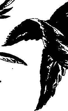 099/099320011701160_1.png