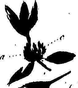 099/099320011701210_0.png