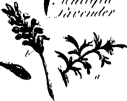 099/099320011800640_0.png