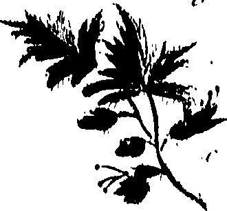 099/099320011800650_1.png