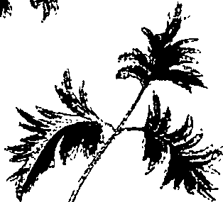 099/099320011800650_2.png