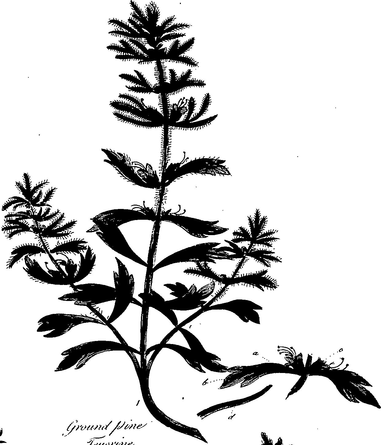 099/099320011800660_0.png