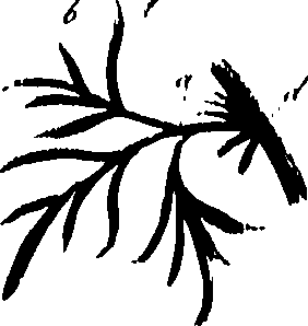 099/099320011800670_0.png