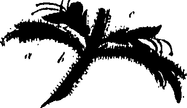 099/099320011800670_1.png