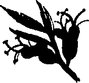 099/099320011800680_0.png