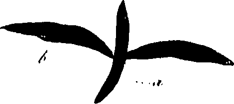 099/099320011800680_1.png