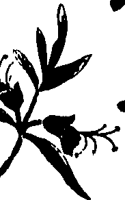 099/099320011800680_2.png