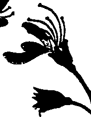 099/099320011800680_3.png