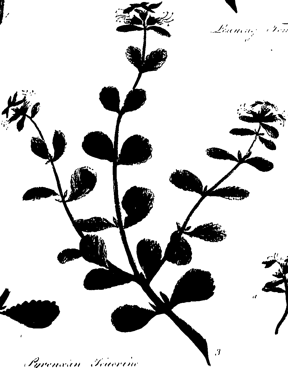 099/099320011800740_0.png
