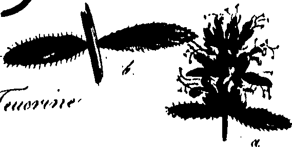 099/099320011800750_0.png