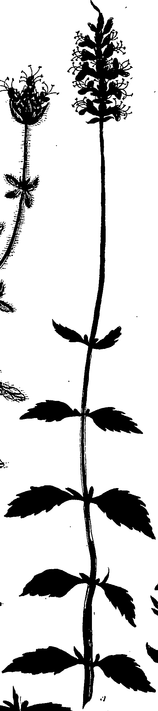 099/099320011800760_0.png