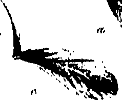 099/099320011800810_0.png