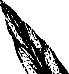 099/099320011800810_1.png
