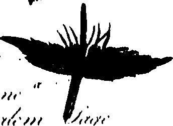 099/099320011800820_0.png