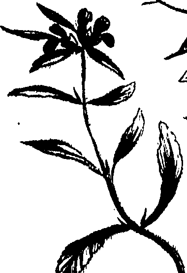 099/099320011800830_0.png