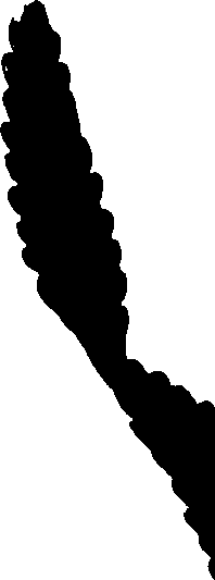 099/099320011800850_0.png