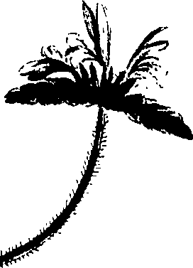 099/099320011800860_1.png