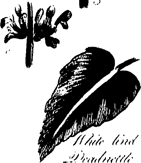 099/099320011800870_0.png