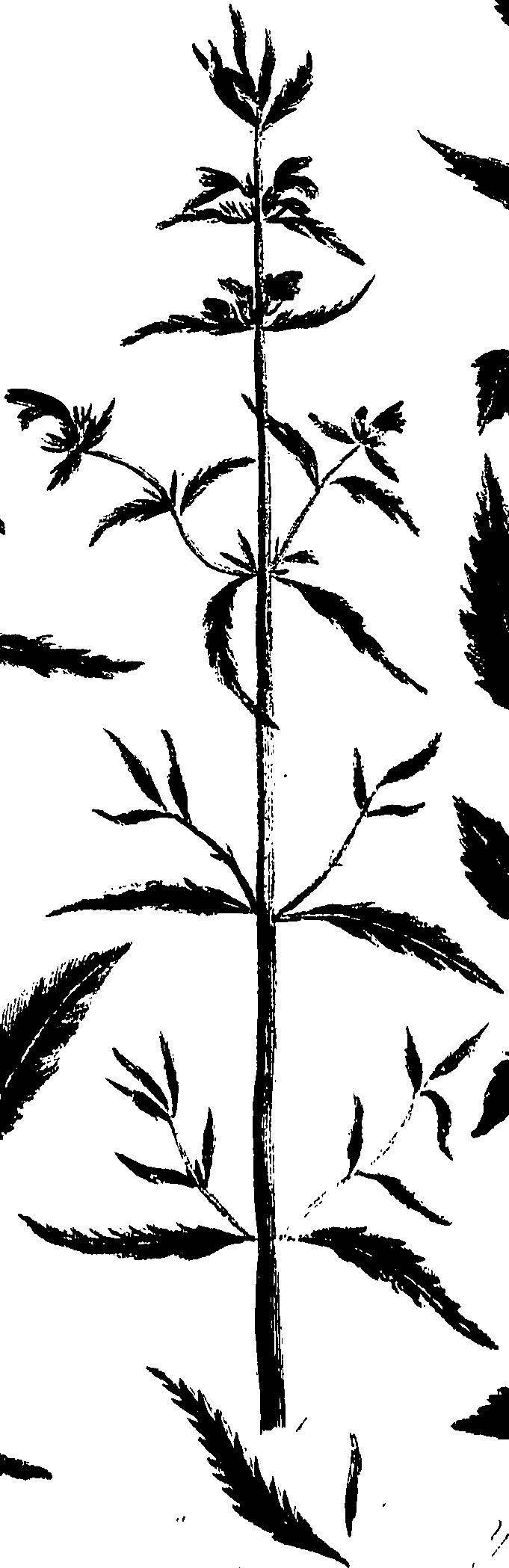 099/099320011800900_1.png
