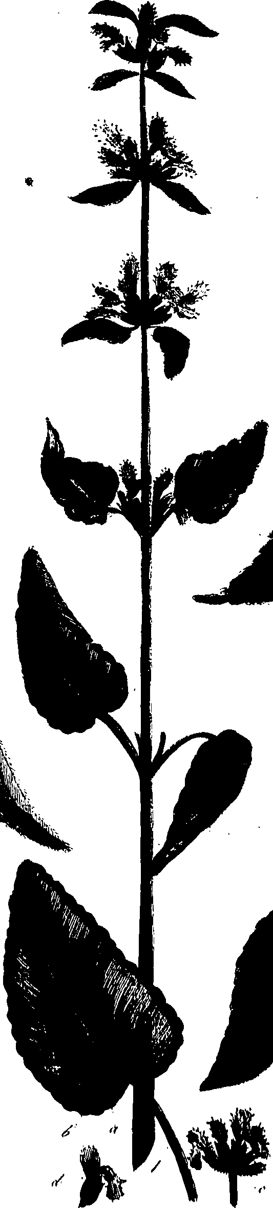 099/099320011800920_0.png