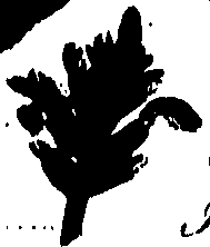 099/099320011800950_0.png
