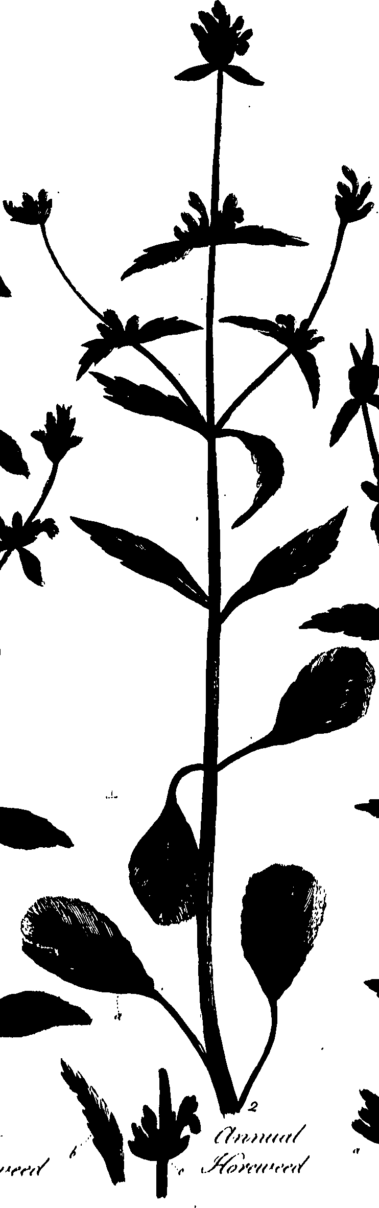 099/099320011800950_1.png