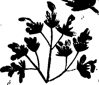 099/099320011800970_0.png