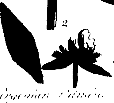 099/099320011800990_0.png