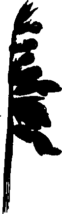 099/099320011801000_0.png