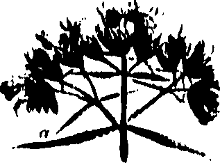 099/099320011801010_0.png