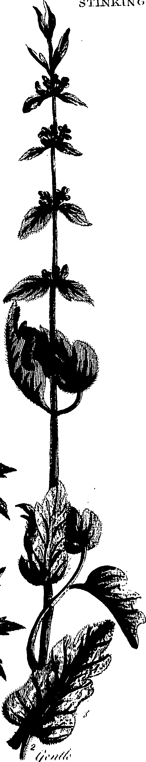 099/099320011801050_0.png