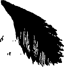 099/099320011801060_0.png