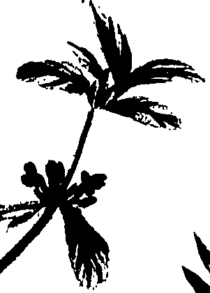 099/099320011801060_1.png