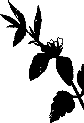 099/099320011801060_2.png
