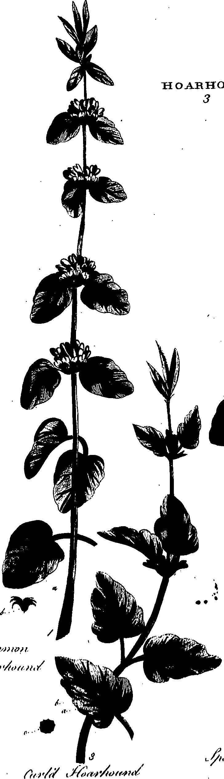 099/099320011801080_0.png