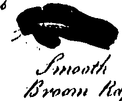 099/099320011801130_0.png