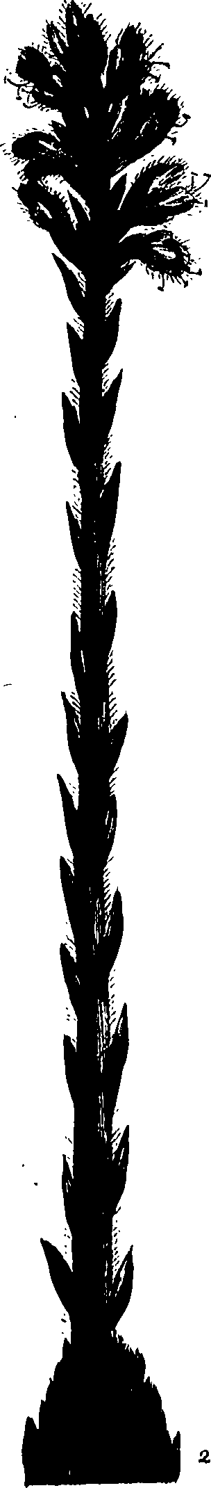 099/099320011801130_1.png